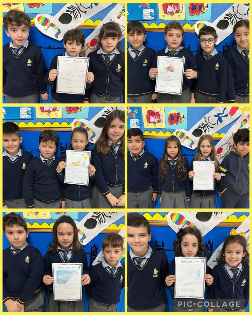 THE ANIMAL GROUPS- 3rd of Primary 2 IMG 4576